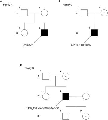 Novel mutations in the ABCD1 gene caused adrenomyeloneuropathy in the Chinese population